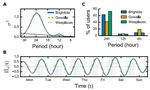 Dynamic predictability and activity-location contexts in human mobility